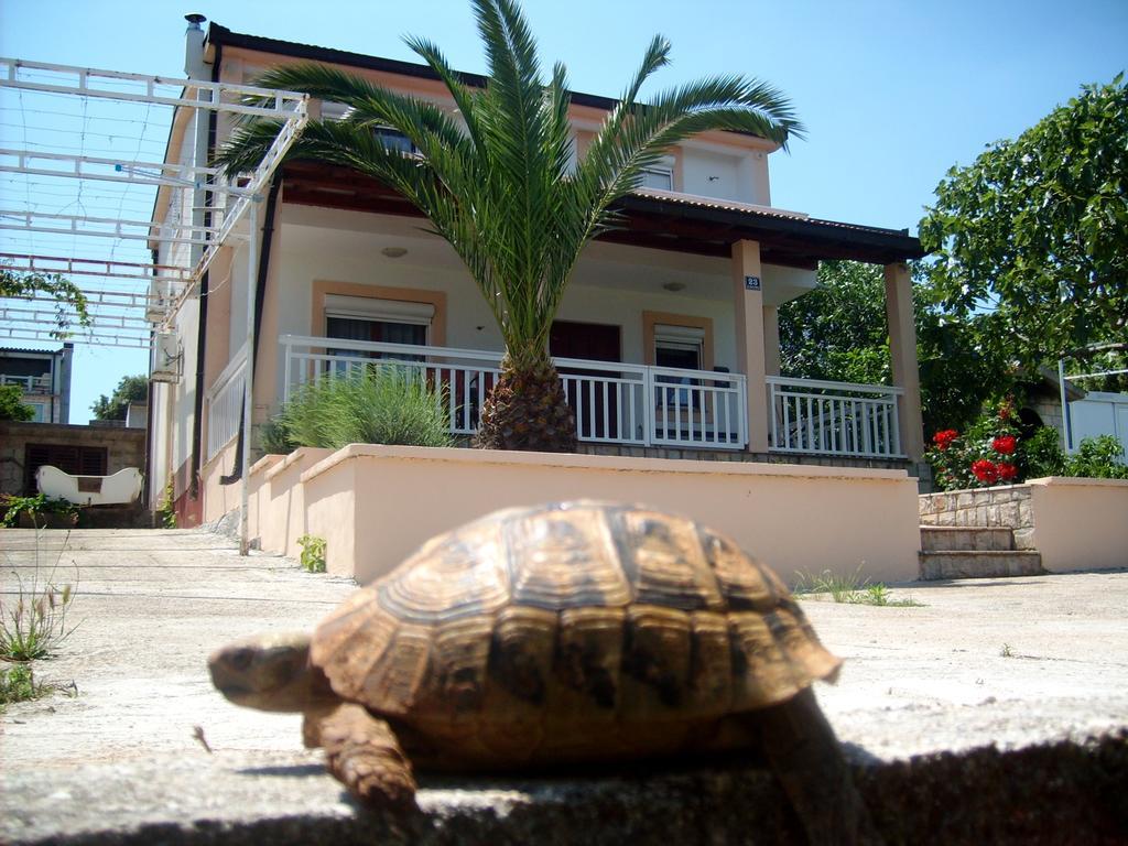 Kuca Za Odmor Gabriella Villa Drače Esterno foto